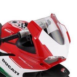 id_7785_8014966420378_Ducati-1299-Panigale-R-12V-55AH_Dettaglio-Fronte-300x300.jpg